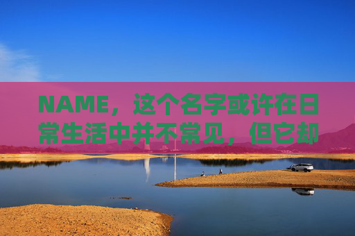 NAME，这个名字或许在日常生活中并不常见，但它却在某些领域里扮演着重要的角色。今天，让我们一起来探索这个名字背后的故事和意义