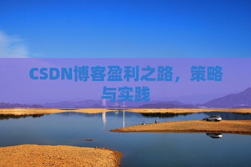 CSDN博客盈利之路，策略与实践